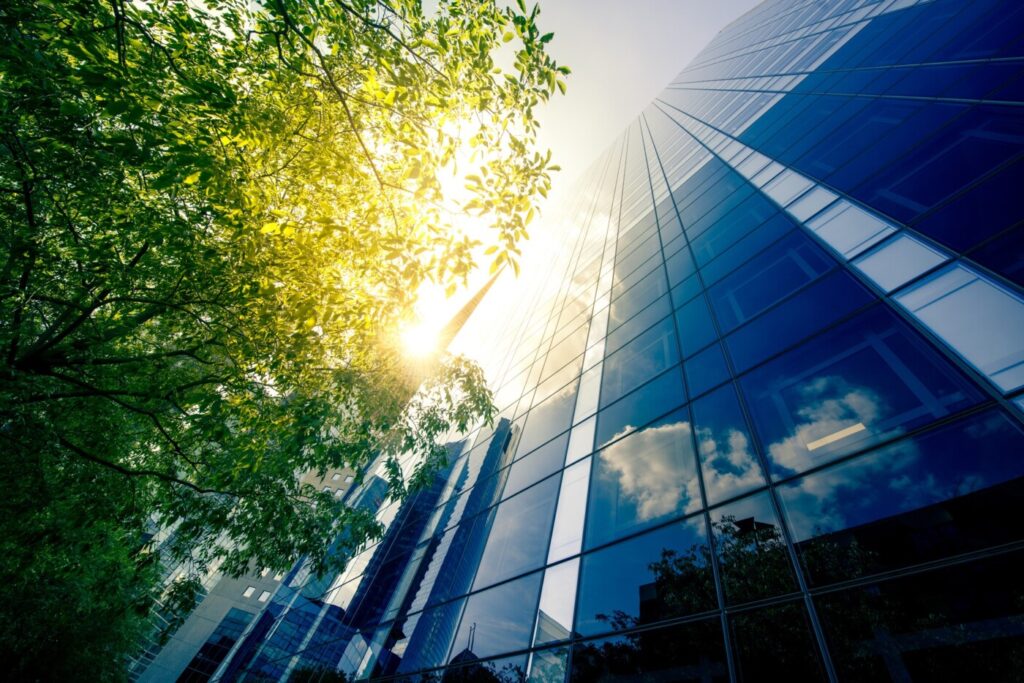 Constructing Excellence