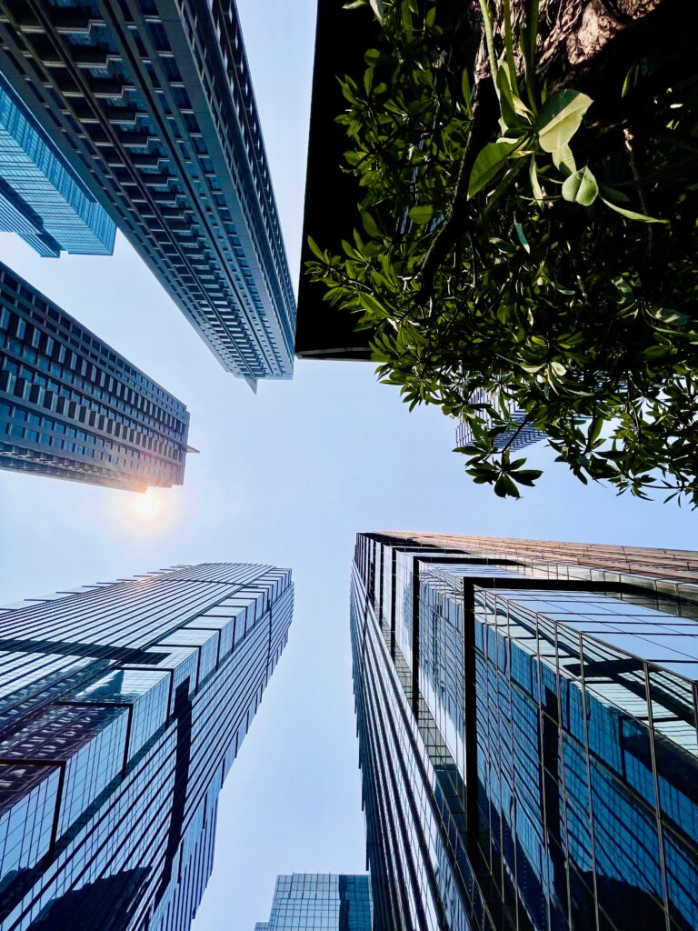 Constructing Excellence
